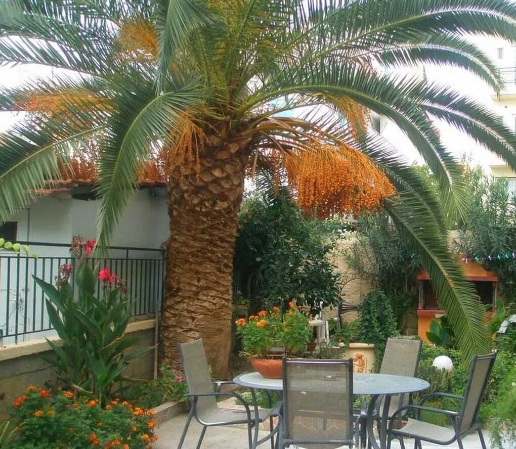 Фото Erato Hotel 2*